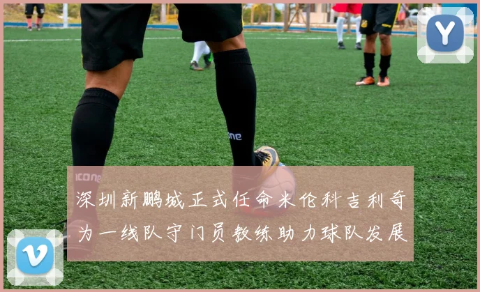 深圳新鹏城正式任命米伦科吉利奇为一线队守门员教练助力球队发展